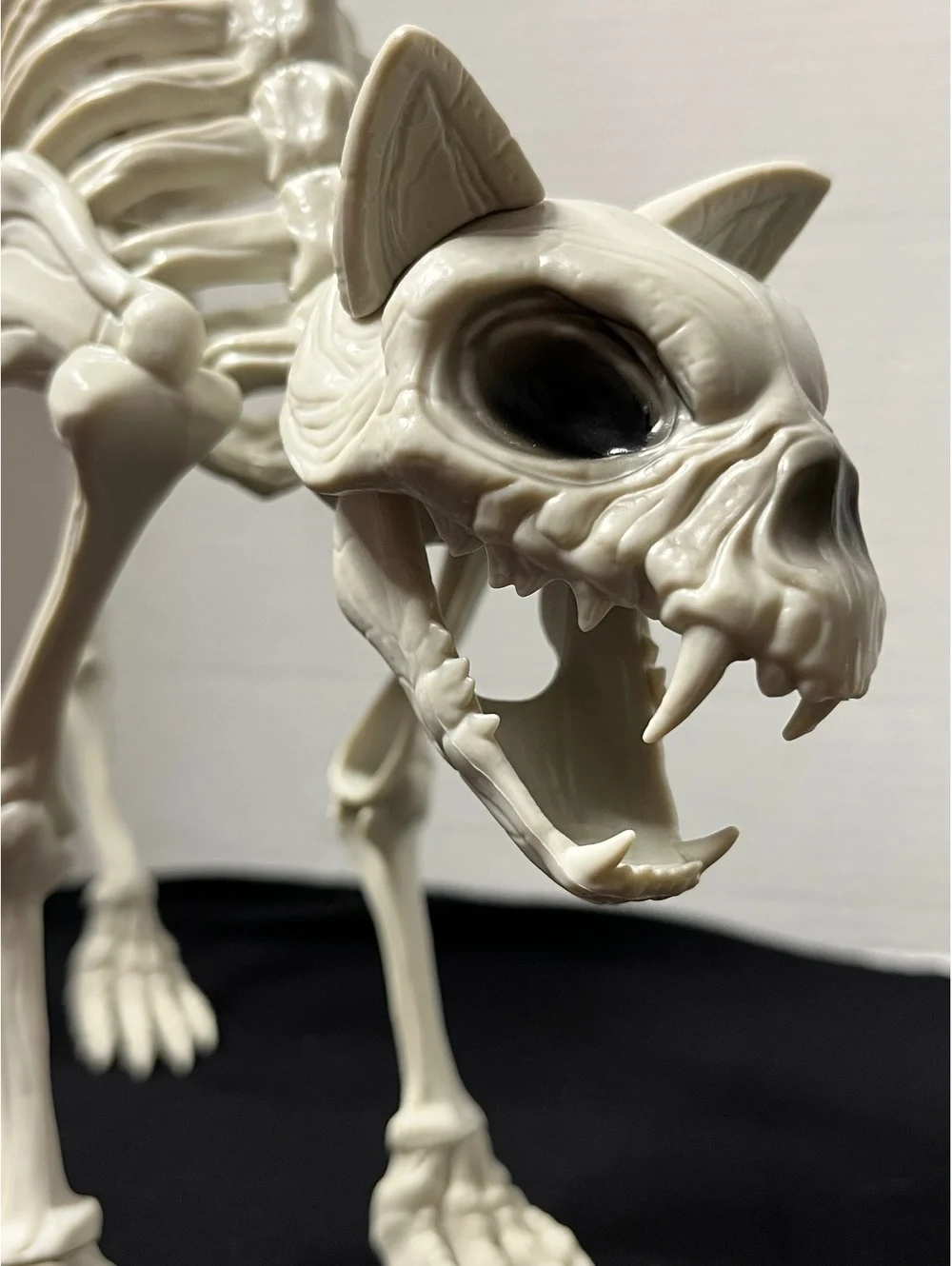 Spooky Cat Skeleton Decor - Perfect for Halloween Vibes